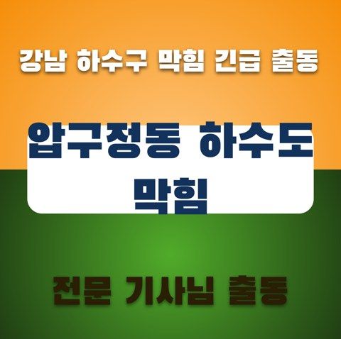 압구정동 하수도 막힘 3393